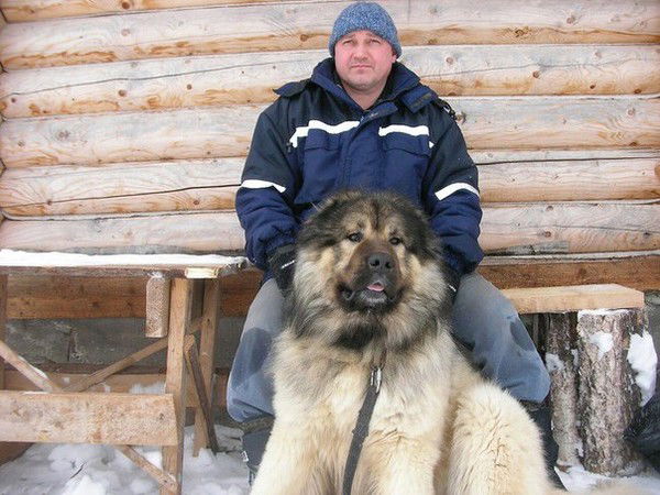 Андрей Калугин