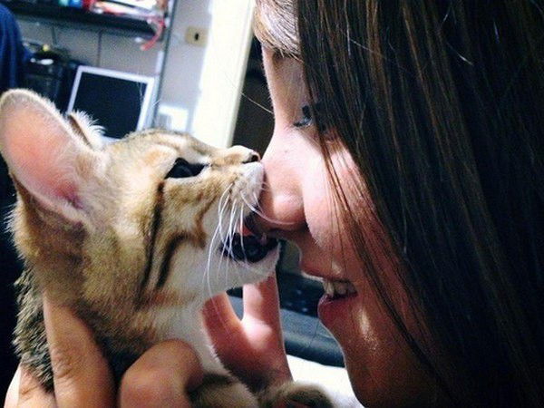 Кристина Кривошея