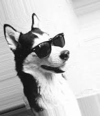 Данил Биктимиров