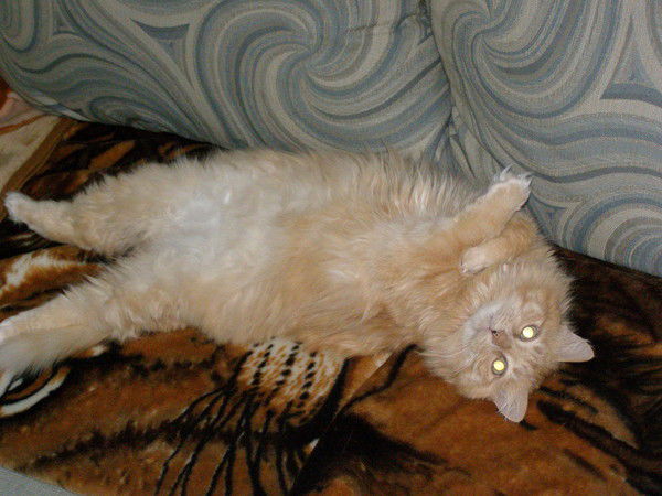 Владислав Бежунаров