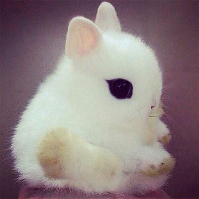 Оля Мищенко