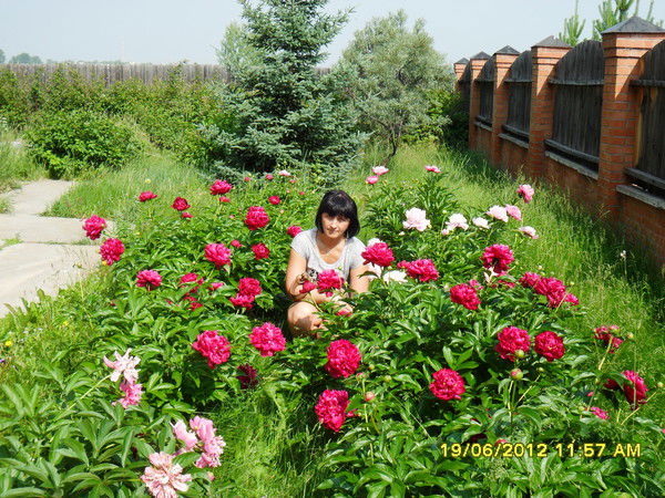 Галина Семенихина