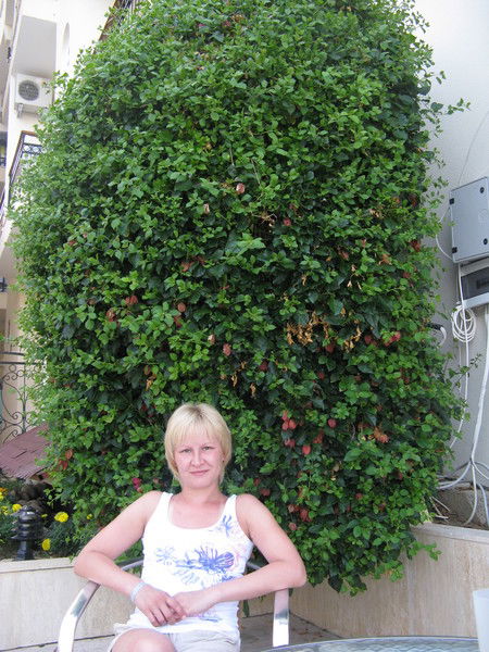 Альфина Цикунова