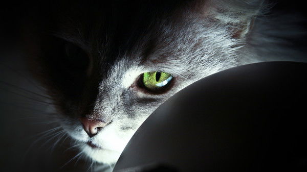 Сергей Свеженцев