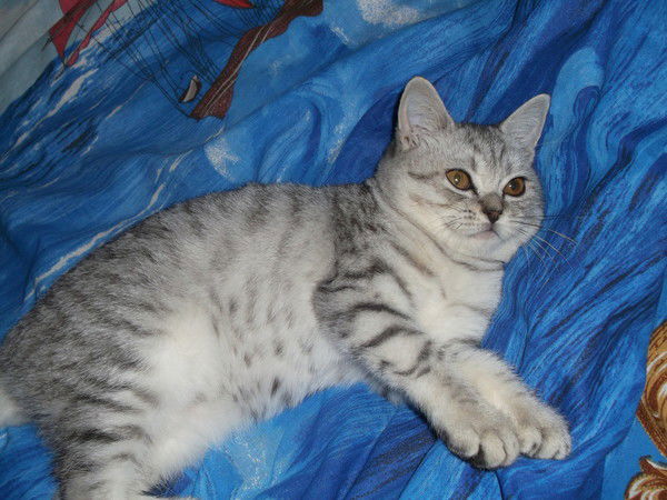 Наталья Белозерова