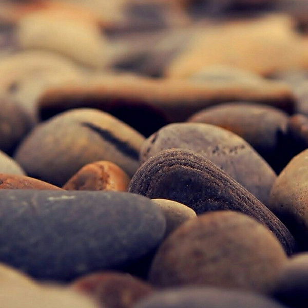 Александр Гейкер