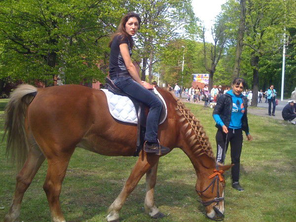 Елена Шаншина