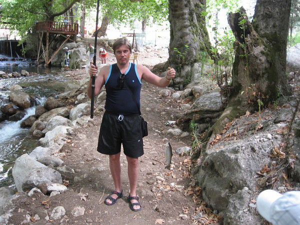 Алексей Пестич