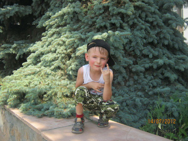 Алексей Лихицкий