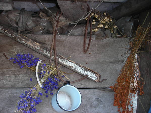 Алла Виноградова