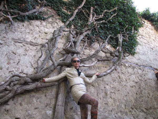 Вероника Зырянова