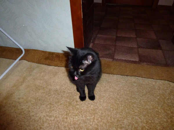 Михаил Коростелёв