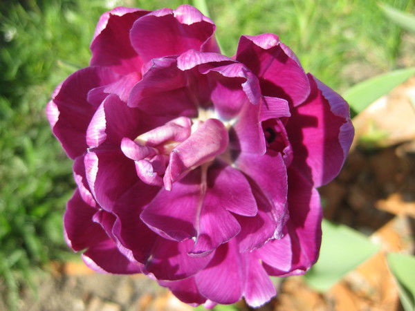 Татьяна Усатенко