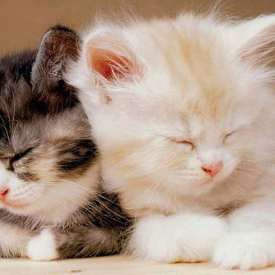 Ксения Вдовина