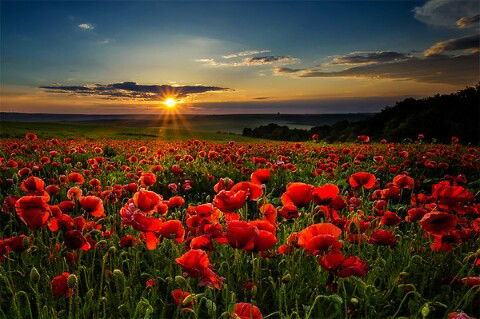 Алия ...........