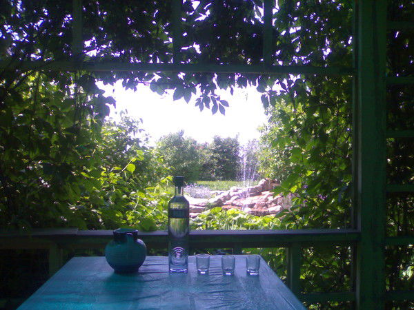 Алексей Зуев