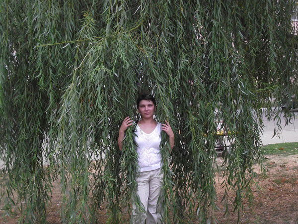 Анна Беклемищева