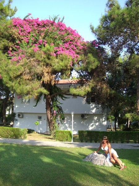 Алёна Таланова