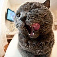 Лиза Киктенко