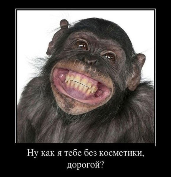 Денис Попов