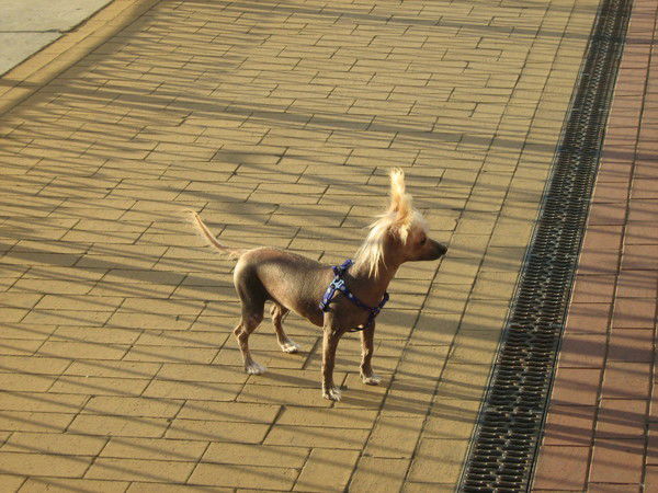 Соколовский Сергей