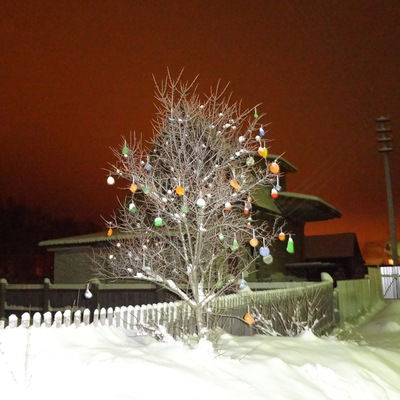 Евгений Юлин