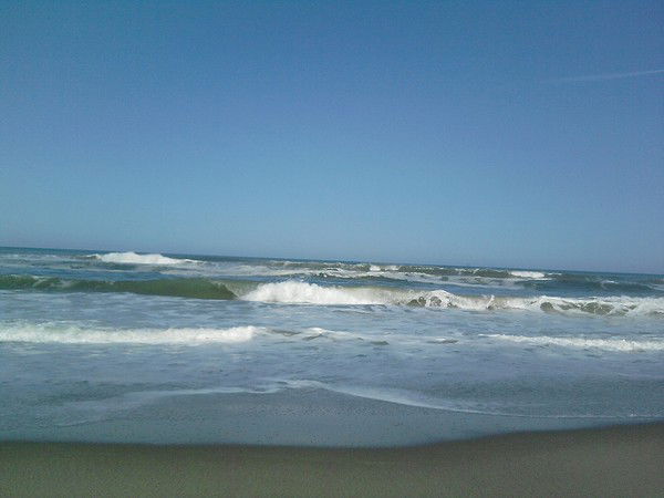 Олег Брянцев