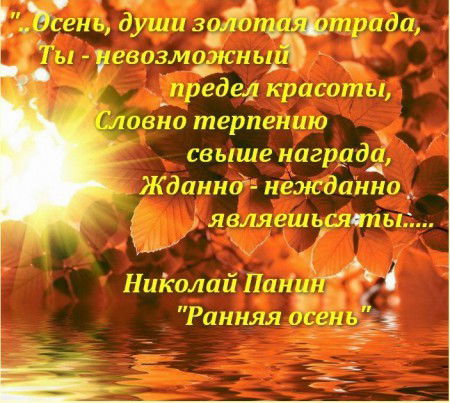 Римма Бушковская