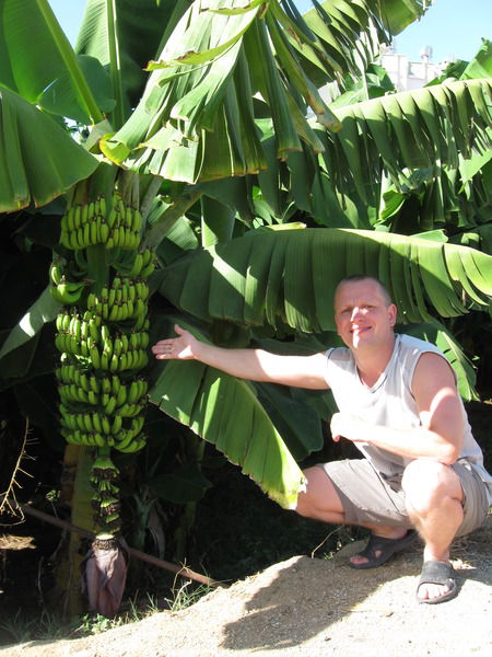 Дима Уфимцев