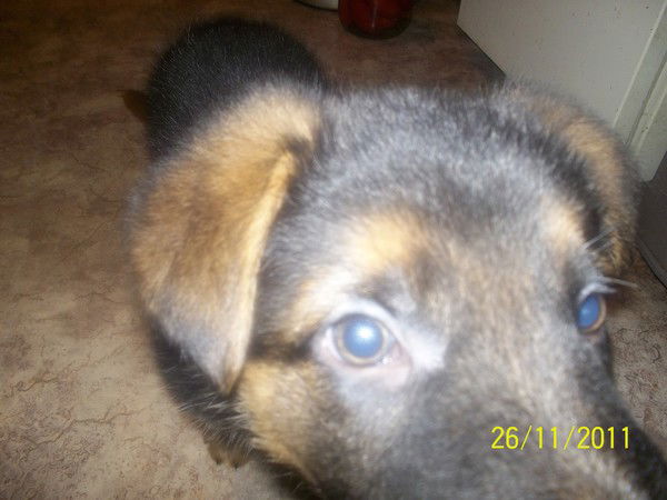 Марина Глебова