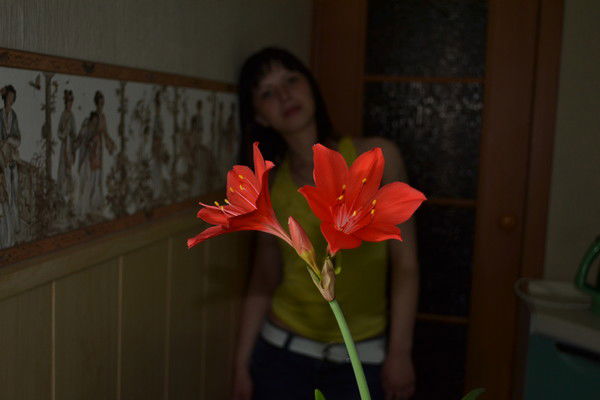 Маргарита Волкова