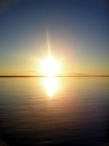 Елена Шадрина