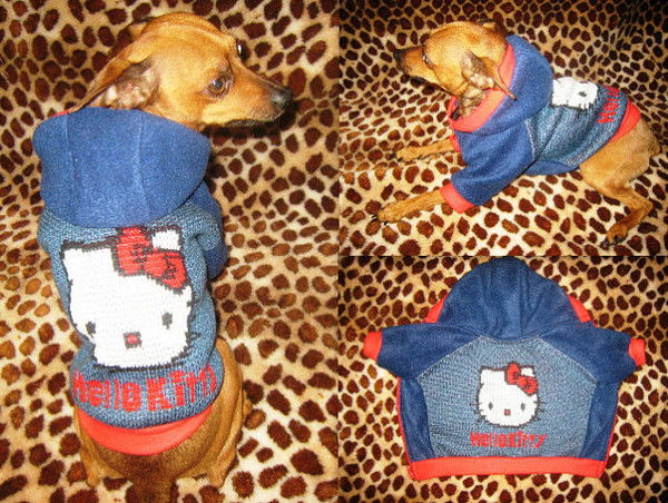 *** Одежда Для Собак