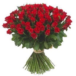 Qorboboimi Qor Qiziman