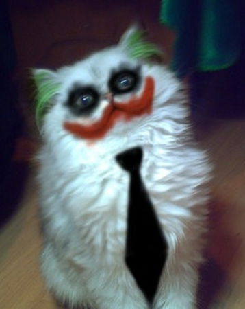 Николай Матвеенко