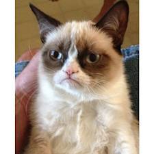 Данияр Мукашев