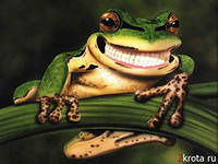 Гусев Александр