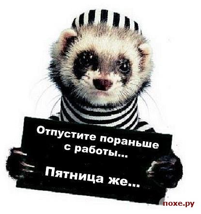 Айдар Кундакпаев