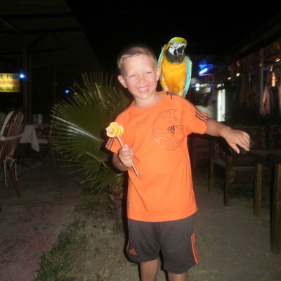 Виталий Рогатин