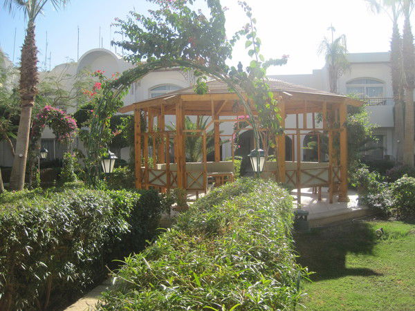 Арника Турагентство