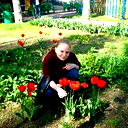Елена Солоневич