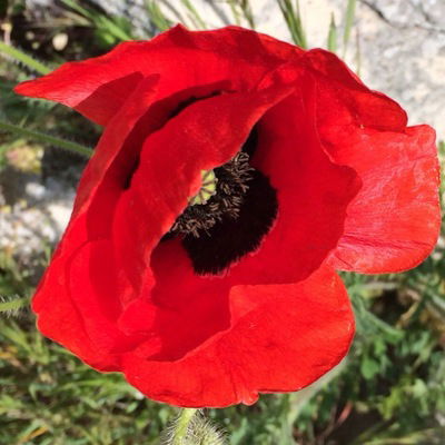 Натали Киселева