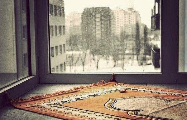 Ксеня С Кавказа