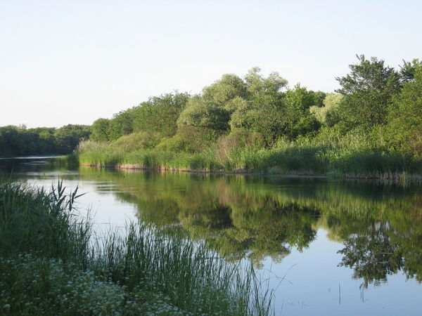 Елена Бондаренко