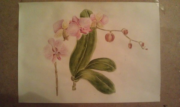 Аля Чиркова