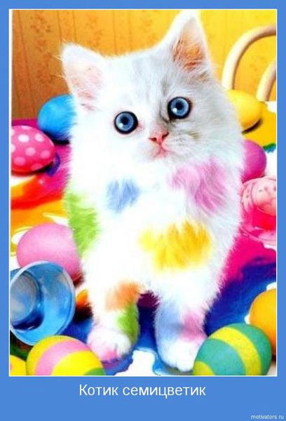 Марусеня Дутченко