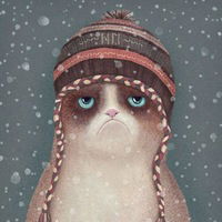 Катя Подболотова