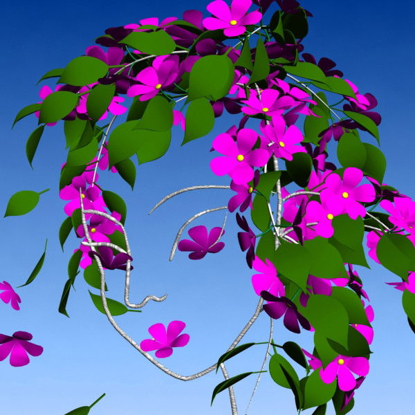 Елена Чиндяйкина