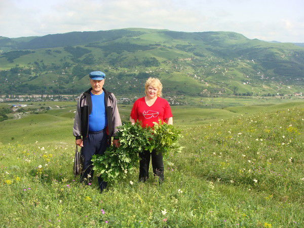 Любовь Ланина