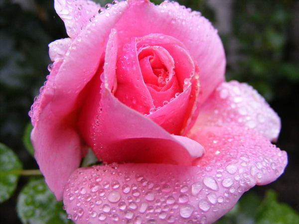 Турган Каримова